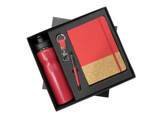 4 in 1 Corporate Gift Combo Set